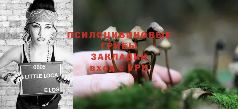 Галлюциногенные грибы MAGIC MUSHROOMS  Прохладный 